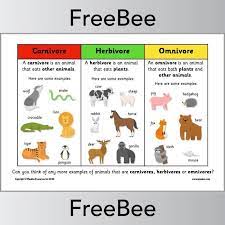 How to use omnivore in a sentence. Carnivore Herbivore Omnivore Ks1 Poster Planbee