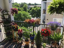 My Outdoor Oasis Diy Balcony Garden Diy Balcony Outdoor Oasis