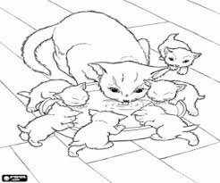 Male kotki kolorowanki / śliczne kotki: Kolorowanki Koty Malowanki