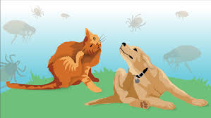 No, many dogs have ticks, just tell parents to remove them. Protecting Your Pets From Fleas And Ticks Total Veterinary Care