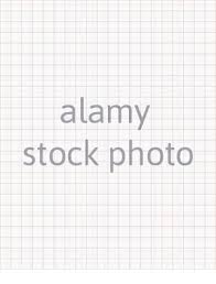 Würden beim setzen des punktes z.b. Papier Raster Rot Stock Vektorgrafik Alamy