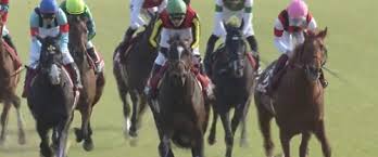 Mouse computer co.,ltd.）は、東京都中央区に本社を置く、パーソナルコンピュータ (パソコン, pc) の製造・販売を行っている企業（パソコンメーカー）である。 ãƒ‹ãƒ¥ãƒ¼ã‚¸ãƒ¼ãƒ©ãƒ³ãƒ‰ãƒˆãƒ­ãƒ•ã‚£ãƒ¼ 2021 ãƒ‡ãƒ¼ã‚¿åˆ†æž å‰èµ°1å‹ã‚¯ãƒ©ã‚¹ã ã£ãŸé¦¬ã§ ã¯ 0 0 0 18