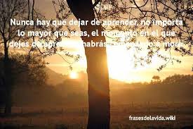 Pulsa sobre la palabra que te interese para ver más ejemplos de frases que contengan esa. Frases De Motivacion Y Exito Laboral Y Personal Cortas 2019