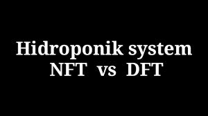 Yeah i know about that. Nft Vs Dft How To Choose The Right Hydroponic Production System For Growing Basil