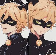 Pin On Ladybug And Chat Noir