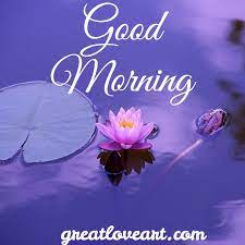 Morning wishes with beautiful scenery images. Good Morning Images Hd 1080p Download Great Love Art