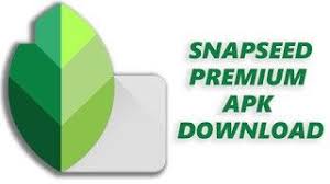 Snapseed Pro Premium Mod Apk Download Free All Features Unlocked Snapseed Light Leak Download