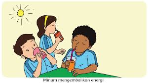 Tahukah kamu bahwa tumbuhan tidak saja bermanfaat sebagai sumber makanan bagi kehidupan makhluk hidup. Kunci Jawaban Tema 6 Kelas 3 Halaman 48 49 50 51 Subtema 1 Pembelajaran 6 Energi Dan Perubahannya Tribun Pontianak