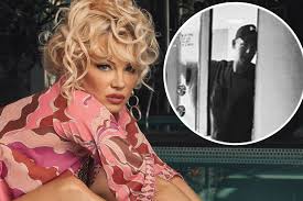 Pamela anderson, a model and actress, is best known for her various playboy magazine covers and for her starring role as c.j. Pamela Anderson Is Dating Her Bodyguard After Divorce From Jon Peters
