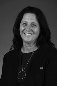 Inquiry into early childhood engagement of culturally and linguistically  diverse communities