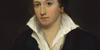 Shelley's Radicalism: The Poet as Economist