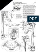 Anatomy & physiology coloring workbook: Human Anatomy Coloring Book Pdf