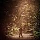 Kentucky Bigfoot