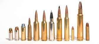 Best 7mm Remington Magnum Loads 32 Matching Articles