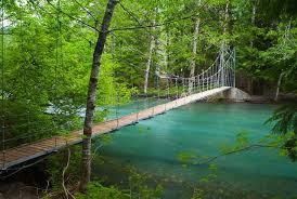 Some of the biggest, oldest trees in the washington cascades stand tall in the grove of the patriarchs. Grove Of The Patriarchs Dial Up Warning Democratic Underground Scenic Bridges National Parks Washington State Travel