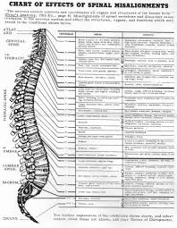 effects of spinal misalignments chart nerve chart