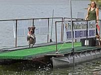 Dog Events Sunday