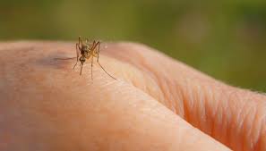 Julieta allegretti videos then she hops on the table and