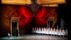 Image result for Vepris renieri