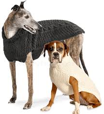 S, m, l, 1x, 2x, 3x knit this stunning matching combo of a. Wool Dog Sweater Gray Modeled On Greyhound And Boxer Diy Dog Sweater Knit Dog Sweater Crochet Dog Sweater Free Pattern