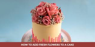We did not find results for: Cake Decoration With Flowers How To Put Fresh Flowers On A Cake