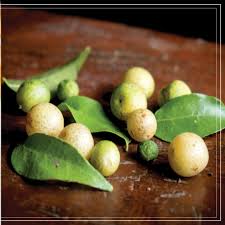 Image result for Clausena