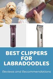 Let it do the work. Best Clippers For Labradoodles Reviews And Recommendations