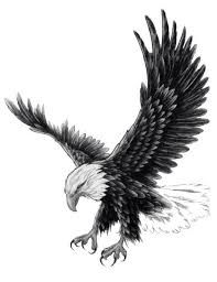 Black And White Eagle Tattoo Found On Bing From Pixshark Com Eagle Tattoo Eagle Tattoos Feather Tattoos