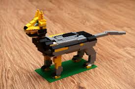 lyubimaya sobaka kolomejchuka yaroslava 10 let sobaki detskie detskij klub