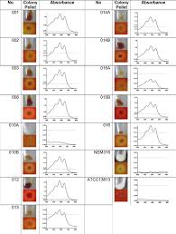Phenotypic And Molecular Characterization Of Hyperpigmented Group B Streptococci Sciencedirect