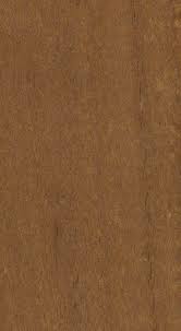 Image result for Tessmannia anomala