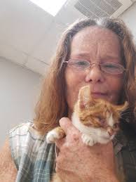 How did you get your cat(s)? Street rescues or shelter adoptees?