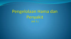 Tujuan setelah menyelesaikan kegiatan pembelajaran. Modul 1 Agribisnis Tanaman Pangan Dan Hortikultura Ppt Download
