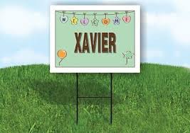 XAVIER WELCOME BABY GREEN 18 in x 24 in Yard Sign Road Sign with Stand