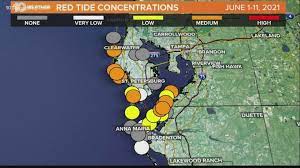 676 tons of dead sea life collected in pinellas county as red tide continues to sweep through tampa bay st. Health Warning Issued For Pinellas County Beaches Due To Red Tide Wtsp Com