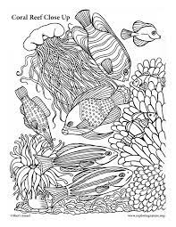 Elsa coloring pages the best pdf friend game christmas paw patrol girl in. Coral Reef Coloring Pictures Novocom Top