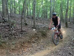 Gainesville Considers Service Contract For Chicopee Woo Accesswdun Com