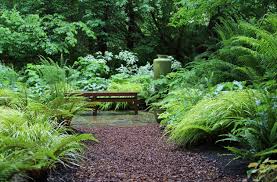 They'll still get enough sun during the morning hours, but they'll spend in nature, these plants live in shaded areas like the forest floor. 8 Best Shade Loving Plants For Gardens That Get Less Sunshine