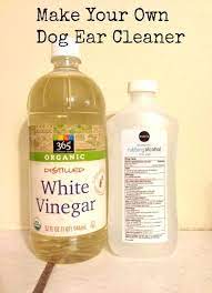 Start A Fire Dog Ear Cleaner Recipe Dog Ear Cleaner Dog Remedies