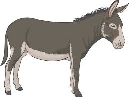 400,280 clipart in 20,014 handpicked categories. Donkey Vector Png Free Donkey Vector Png Transparent Images 93559 Pngio