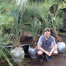 Partner with us to remove your pests safely and. Apex Of Edisto Pest Management Inc Home Facebook