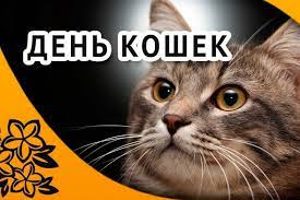 До конца года остается 145 дней. At7ztnc Jcejim