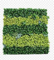 Green Hedge Hd Png Download Vhv Over 200 angles available for each 3d object, rotate and download. green hedge hd png download vhv