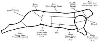 deer meat cut chart dittmer meats