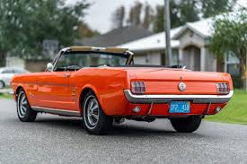 Image result for Poppy Red 1993 Town and Country