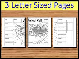The organelles included in the plant cell are nucleus, golgi apparatus, smooth er, rough er, ribosomes, cell wall, cell membrane, cytoplasm, vacuole, chloroplast, mitochondrion, and cytoskeleton. Animal Cell Big Foldable For Interactive Notebook Or Binder Tpt