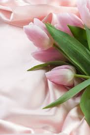 Love Spells That Work In Boulder Colorado Call Whatsapp 27843769238 Love Spell That Work Love Spells Black Magic Love Spells