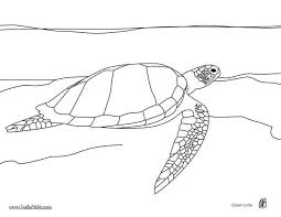 Cute Swimming Turtle Coloring Page Perfect Coloring Sheet For Kids More Content On Hellokids Com Turtle Coloring Pages Coloring Pages Animal Coloring Pages