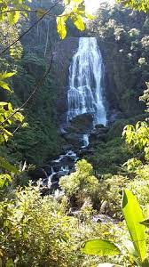 All santa rita de jacutinga restaurants. Cachoeira Do Pacau Santa Rita De Jacutinga Mg Picture Of Cachoeira Do Pacau Santa Rita De Jacutinga Tripadvisor