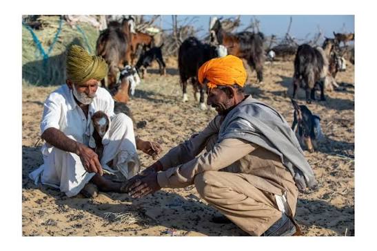 Portrait of a Rajput Shepherd,Thar Desert, Rajasthan, India Discovering the Real Desert in Rajasthan.Sand and sun stretched before me, as far as my eyes could see.Dotted with huts, buildings and endless scrub,